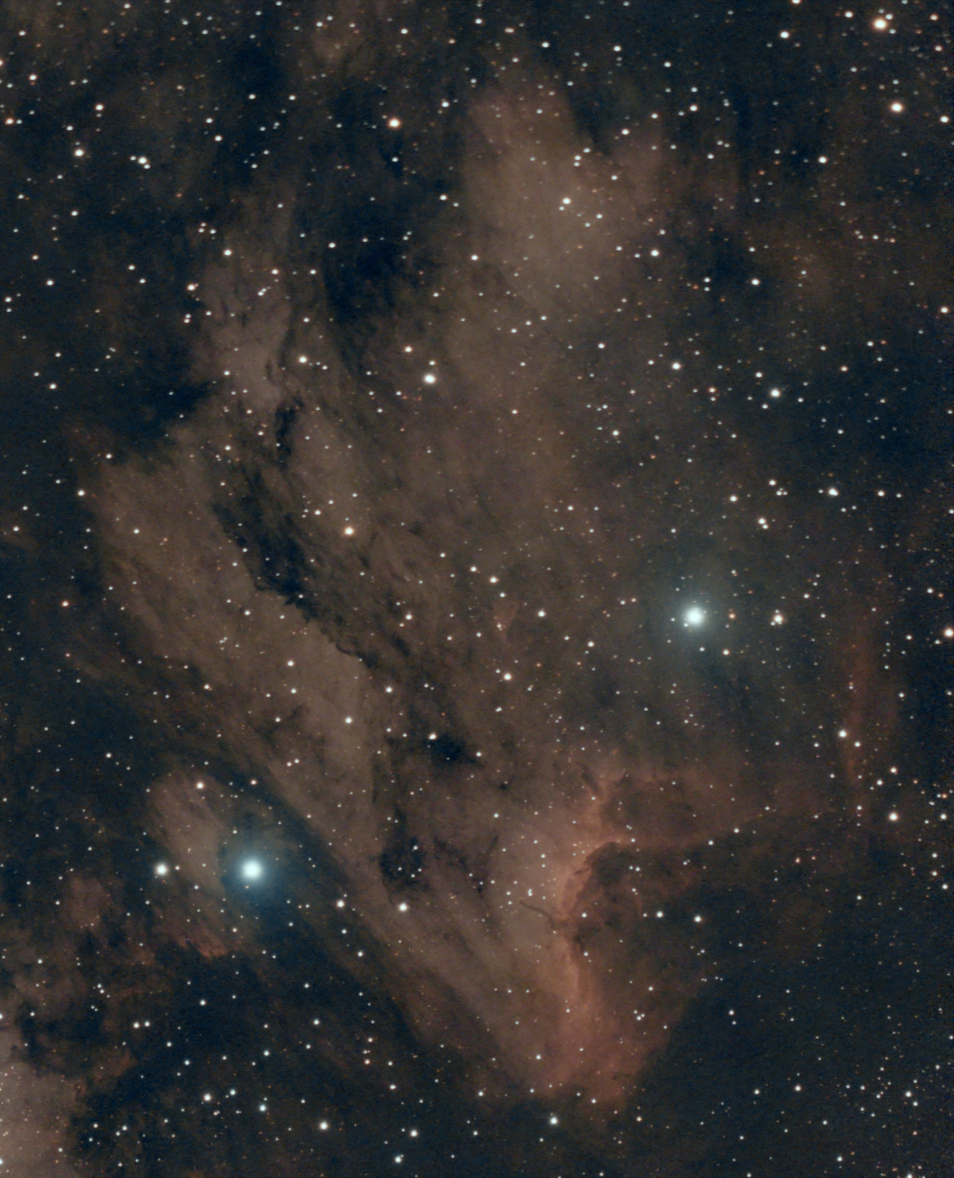 IC 5070 — Pelican Nebula