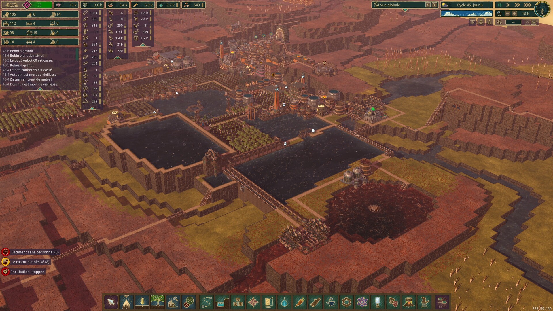 Timberborn