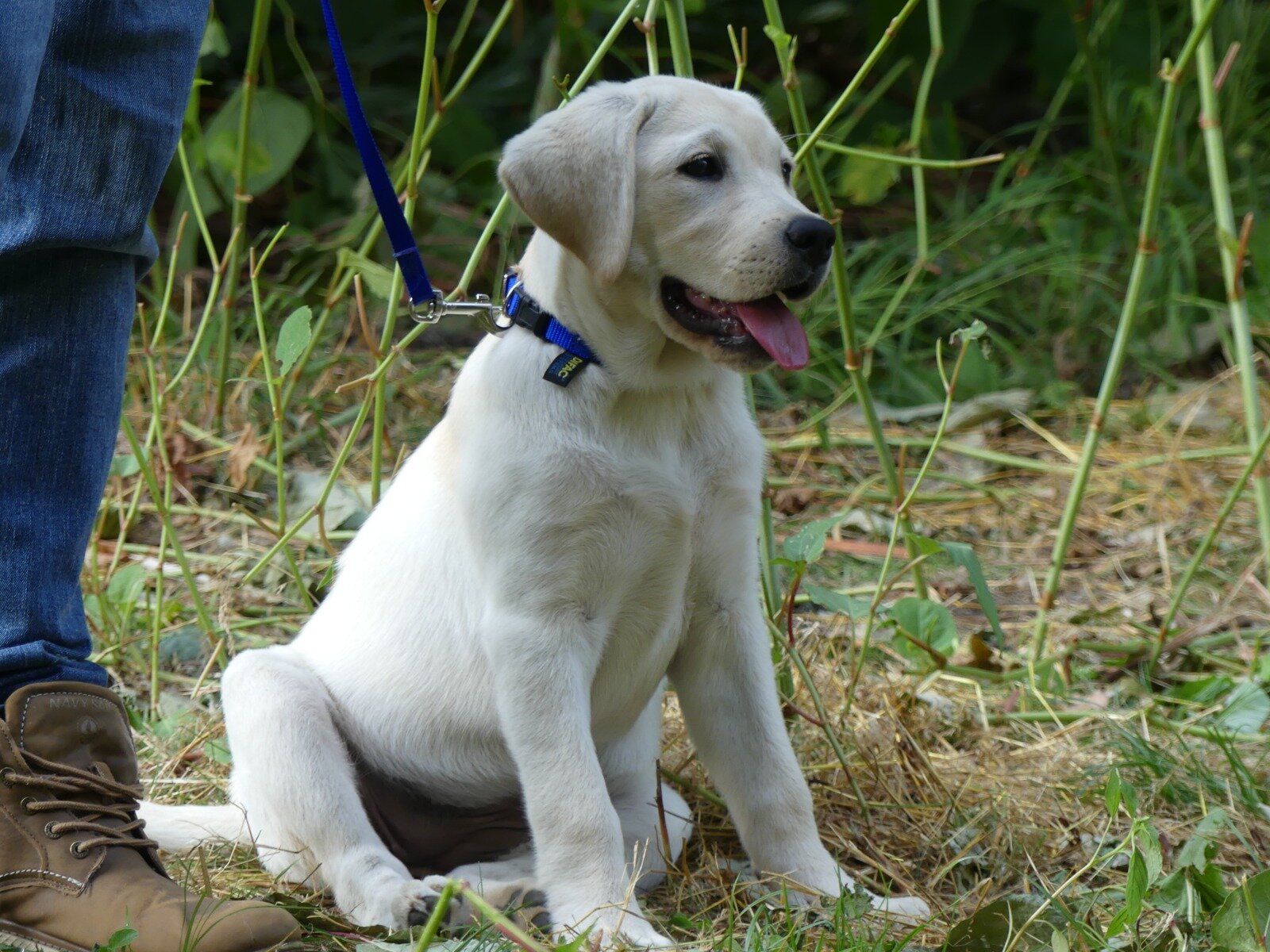 Uska