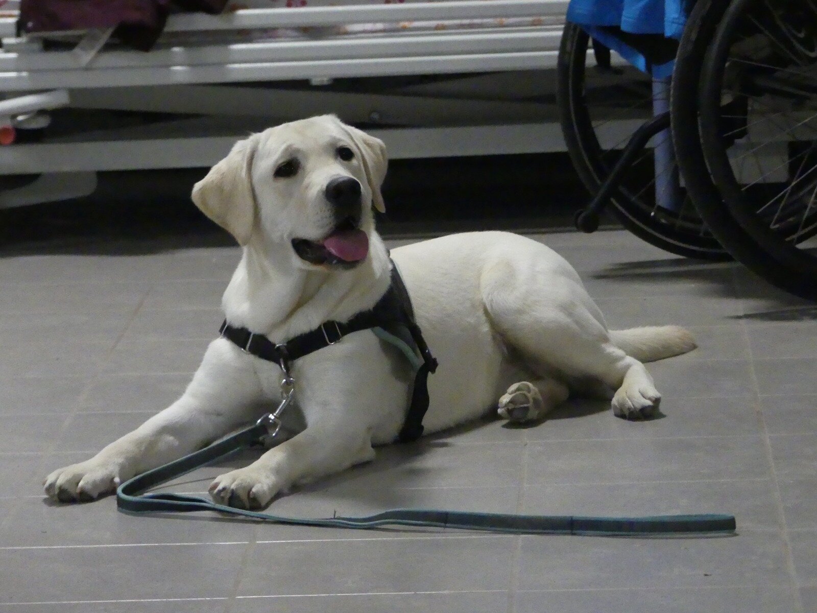 Uska